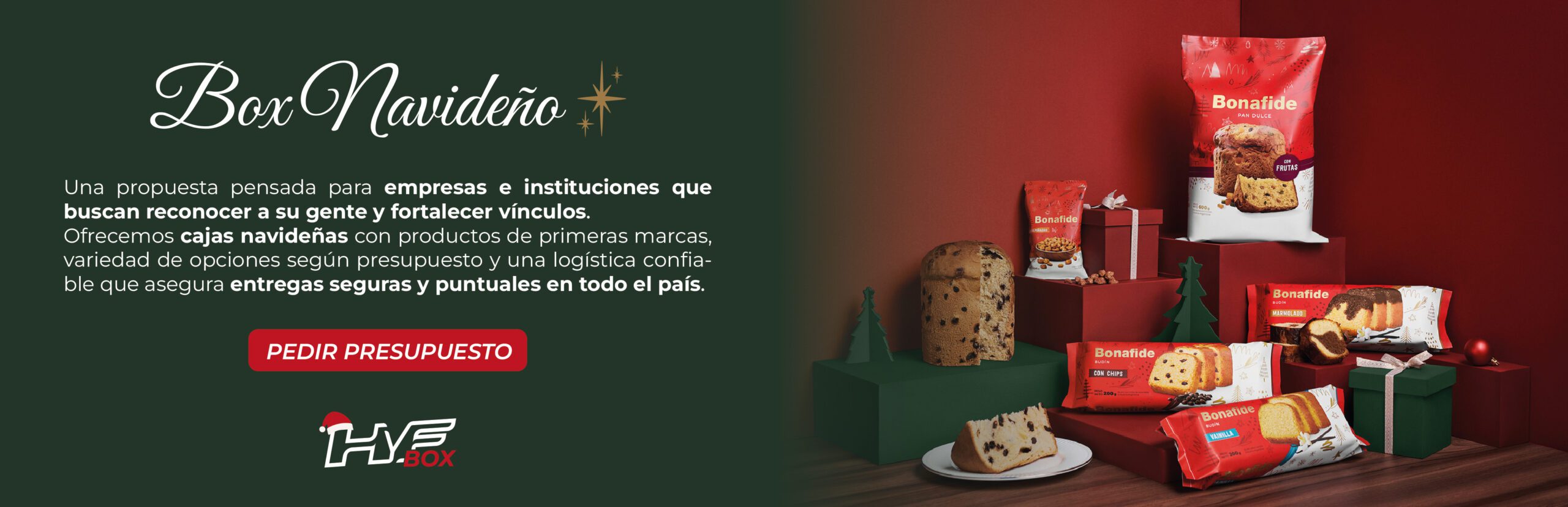 HYFwebnavidad_Mesa de trabajo 1 copia